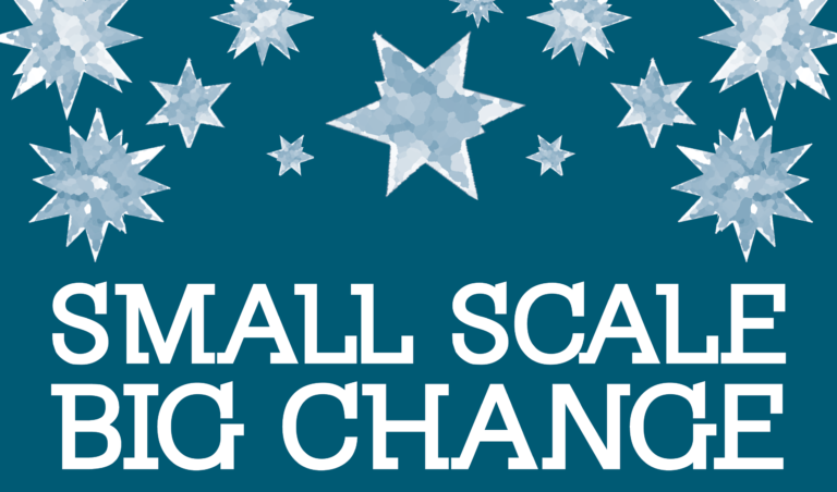 Small Scale • Big Change Final Auction Night