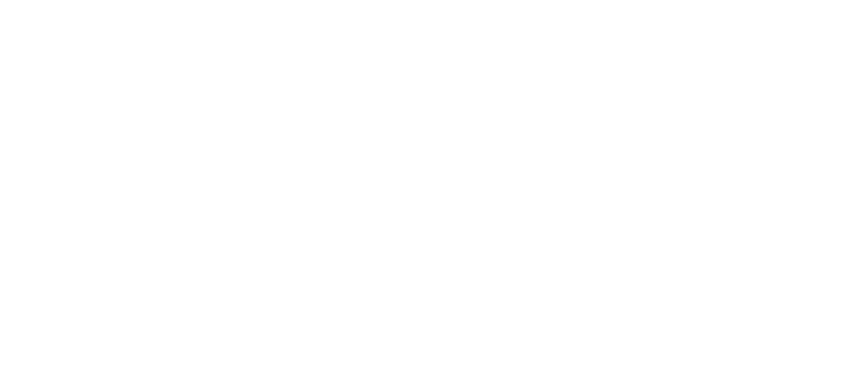 Texas Commission on the Arts